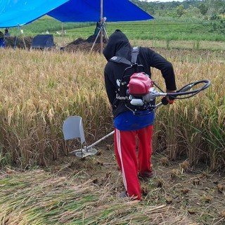 Gambar tambahan
