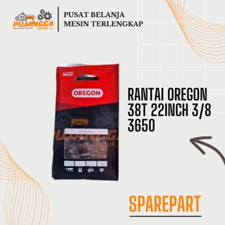 RANTAI OREGON 38T 22INCH 3/8 3650
